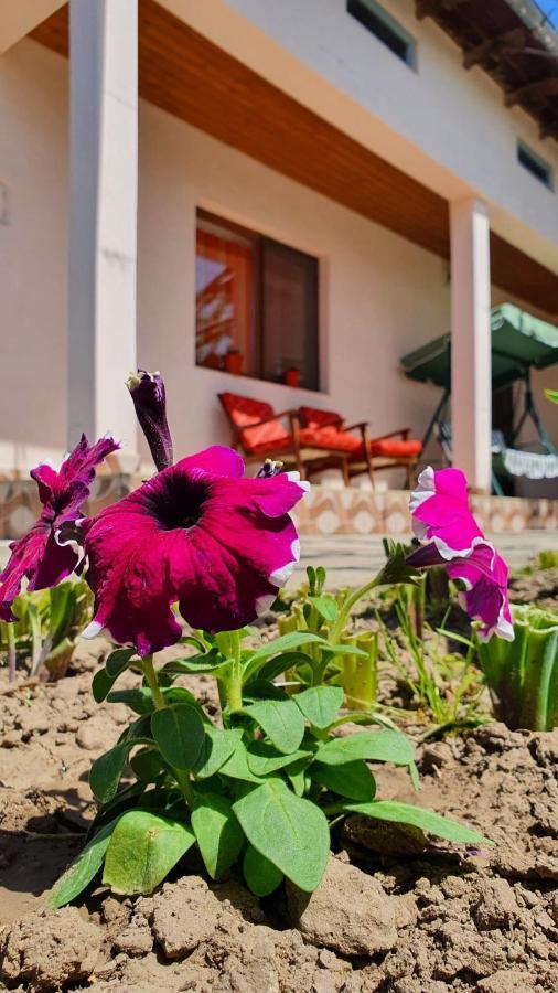 Casa Caraua Villa Greci Exterior photo